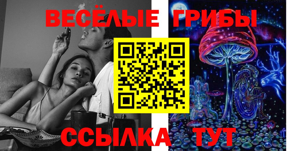 Родники  Псилоцибиновые грибы Cubensis  Вход с VPN 