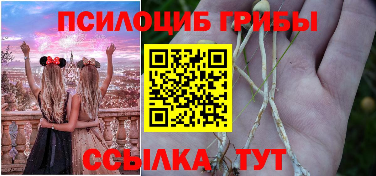 Галлюциногенные грибы GOLDEN TEACHER Родники
