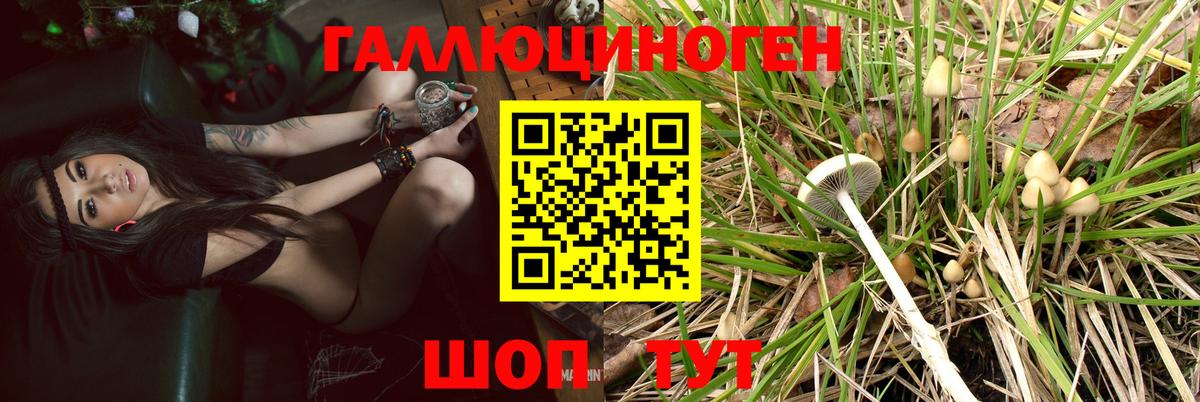 Псилоцибиновые грибы ЛСД  Родники 